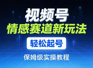 视频号情感赛道新玩法，轻松起号，保姆级实操教程-网创资源站