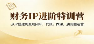 财务IP进阶特训营：从IP搭建到变现闭环，代账，做课，朋友圈运营-网创资源站