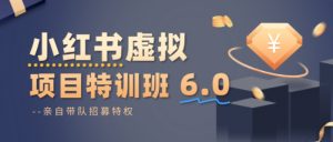 小红书虚拟项目特训课8.0，帮你从0到1打造稳定盈利的店铺，抓住流量红利(更新3月)-网创资源站
