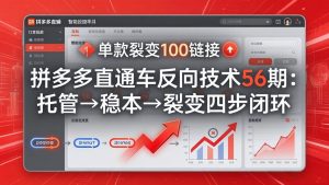 拼多多直通车反向技术56期：托管→稳本→裂变四步闭环，单款裂变100链接抢占核心流量-网创资源站