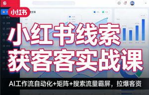 小红书线索获客实战课，AI工作流自动化+矩阵+搜索流量霸屏，拉爆客资-网创资源站