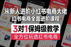 从新人进阶小红书电商大佬，红书电商全面进阶课程，3对1保姆级教学，全方位玩透红书电商-网创资源站