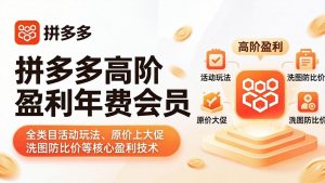 拼多多高阶盈利年费会员(更新4月-网创资源站