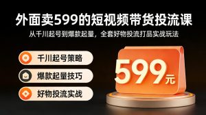 外面卖599的短视频带货投流课：从千川起号到爆款起量，全套好物投流打品实战玩法-网创资源站