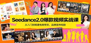 Seedance2.0爆款视频实战课：从入门到精通电商带货，品牌宣传短剧-网创资源站