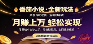 番茄小说5月最新独家玩法，稳定落地实测月入过万！-网创资源站
