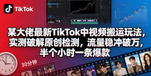 某大佬最新TikTok中视频搬运玩法，实测破解原创检测，流量稳冲破万，半个小时一条爆款-网创资源站