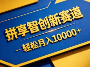 拼享智创新赛道,轻松月入1W+,门槛极低、收益稳定、可长期放大的轻资产项目【揭秘】-网创资源站