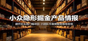 小众隐形掘金产品情报:避开巨头高门槛项目,小团队可直接复刻落地变现-网创资源站
