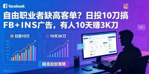 自由职业者缺高客单?日投10刀搞FB+INS广告,有人10天赚3K刀!【原创双语字幕】-网创资源站