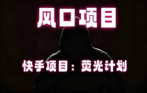 快手风口项目,荧光计划托管,长期稳定,适合批量做-网创资源站