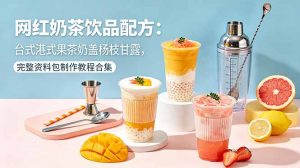 网红奶茶饮品配方:台式港式果茶奶盖杨枝甘露,完整资料包制作教程合集-网创资源站