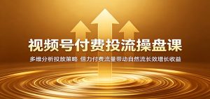 视频号付费投流操盘课:多维分析投放策略,借力付费流量带动自然流长效增长收益-网创资源站