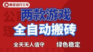 海外游戏全自动搬砖，日入1k+，全天无人值守，绿色稳定！【揭秘】-网创资源站