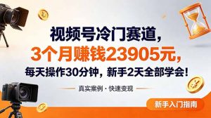 视频号冷门赛道，3个月变现23905元，新手2天学会 每天操作30分钟！-网创资源站