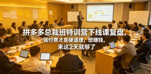 拼多多总裁班特训营下线课复盘，强付费才是硬道理，想賺钱，来这2天就够了-网创资源站