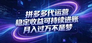 拼多多代运营,小白也能轻松月入过万,真实运营数据可查,全托管代运营-网创资源站