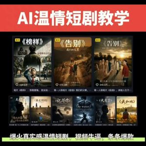 抖音58W粉丝博主的AI温情短剧玩法,条条爆款,伙伴计划+精选独家收益,商单收徒等(更新6月)-网创资源站