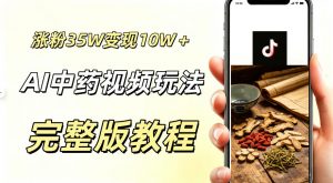 用ai做中药视频，涨粉35.8W，分成计划+橱窗累计变现10W+-网创资源站