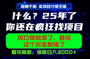 26年,请不要疯狂的找项目做了!卖项目才是真的稳賺不赔,看完照做,保底日入1k+【揭秘】-网创资源站