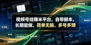视频号挂賺米平台，自带脚本，长期能做，简单无脑，多号多賺【揭秘】-网创资源站