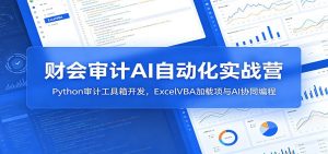 财会审计AI自动化实战营：Python审计工具箱开发，ExcelVBA加载项与AI协同编程-网创资源站