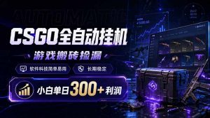 CSGO全自动挂机，游戏搬砖捡漏，软件科技简单易用，长期稳定，小白单日300+利润-网创资源站