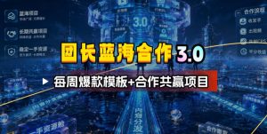 团长蓝海合作3.0，每周爆款模板+合作共赢项目-网创资源站