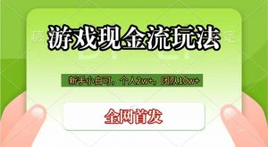 游戏现金流玩法，个人2w+，团队10w+，自己做老板-网创资源站