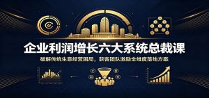 企业利润增长六大系统总裁课:破解传统生意经营困局,获客团队激励全维度落地方案-网创资源站