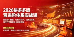 2026拼多多运营进阶体系实战课｜新版拖价稳量、付费转投产、自然流矩阵、高投产链接起店全链路教程-网创资源站