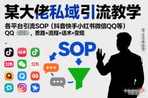 某大佬私域引流教学,各平台引流SOP(抖音快手小红书微信QQ等),思路+流程+话术+变现(更新0708)-网创资源站