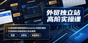外贸独立站高阶实操课｜从域名服务器搭建到Elementor定制化建站，打造高转化询盘型独立站全教程-网创资源站