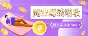 985十年互联网老兵亲测：2026年多个真实落地副业项目，手把手带你搭建被动收入管道(淘宝无人直播、TK拉新、代运营、CSGO……)【揭秘】-网创资源站