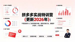 拼多多实战特训营(更新2026年-网创资源站