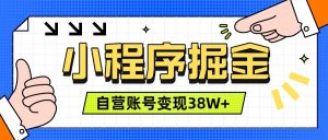 微信小程序掘金,团队自营小程序累计变现38W+,稳定运营三年,一部手机即可操作-网创资源站