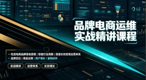 品牌电商运维实战精讲课程｜吃透电商品牌落地逻辑、穿越行业周期、搭建长效变现运营体系-网创资源站