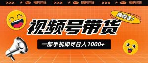视频号带货，一部手机即可日入1000+，无人直播玩法轻松躺赚带货佣金-网创资源站