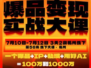 爆品变现实战大课，从爆品，到流量，到成交，一个爆品+IP+私域+用好AI=100W到1000W(7月10-12日)-网创资源站