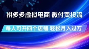 拼多多虚拟电商，微付费投流玩法，每人可开四个店，轻松月入过1W【揭秘】-网创资源站