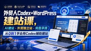 外贸人Codex+WordPress建站课，AI建站·外贸独立站·询盘承接，从0到1学会用Codex辅助建站-网创资源站