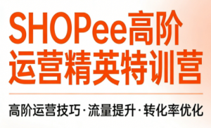 梦凡老师·Shopee虾皮高阶运营课程(更新)-网创资源站