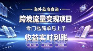 海外蓝海赛道 跨境流量变现项目 收益实时到账 零门槛简单易上手-网创资源站