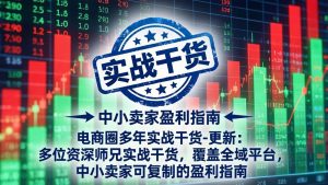 电商圈多年实战干货-更新2026:多位资深师兄实战干货/覆盖全域平台,中小卖家可复制的盈利指南-网创资源站