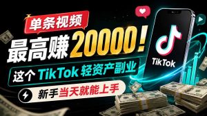 单条视频最高赚 20000！这个 TikTok 轻资产副业，新手当天就能上手-网创资源站