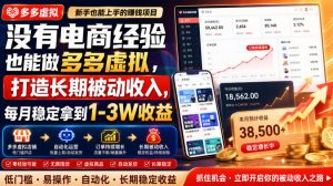 没有电商经验也能做多多虚拟,打造长期被动收入,每月稳定拿到1-3W收益【揭秘】-网创资源站