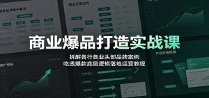 商业爆品打造实战课:拆解各行各业头部品牌案例,吃透爆款底层逻辑落地运营教程-网创资源站