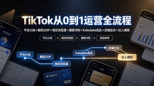 TikTok从0到1运营全流程:平台认知×刷机SOP×指纹浏览器×爆款对标×Kalodata选品×店铺后台×达人建联-网创资源站