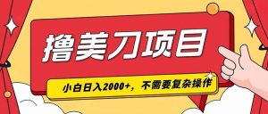 撸美刀，单日收入2000+，小白可做-网创资源站