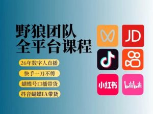 野狼团队2026新版全平台短视频带货教学，打开流量突破口，开始Ai带货(更新0724)-网创资源站
